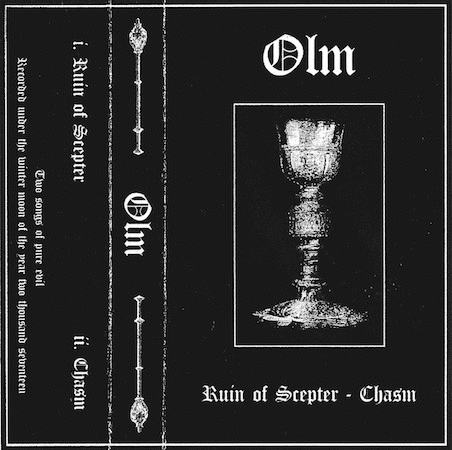 Olm : Ruin of Scepter - Chasm